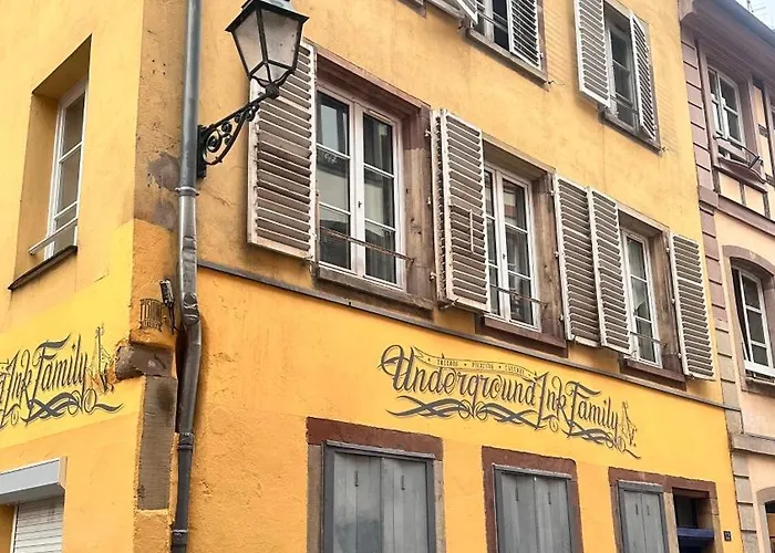 Appartement In Centre Straatsburg